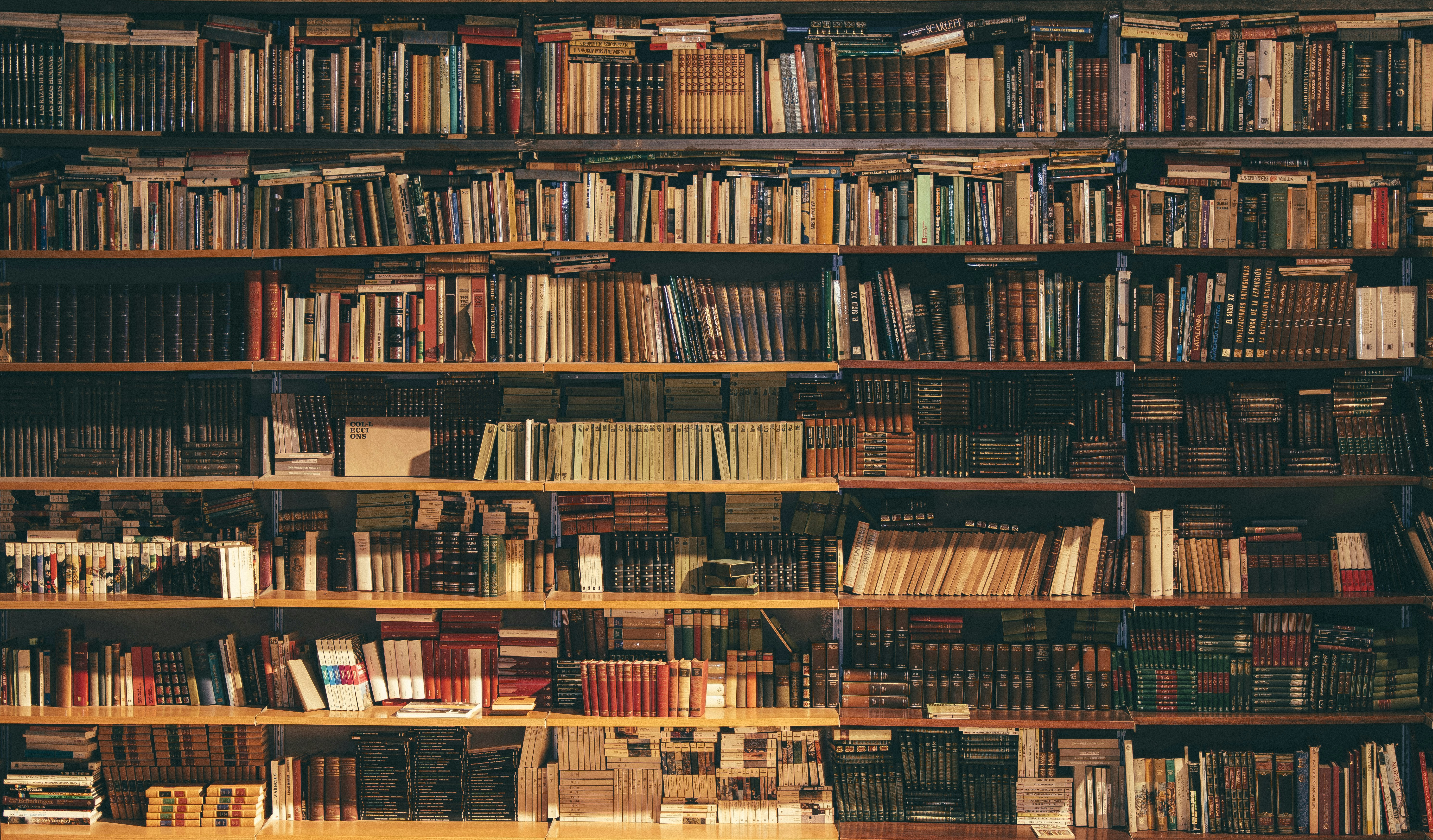 Grand library shelves full of books